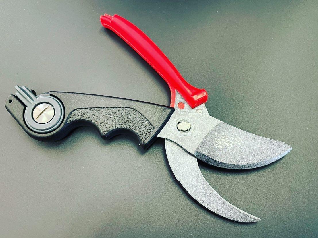 アサシンシザーも最終段階