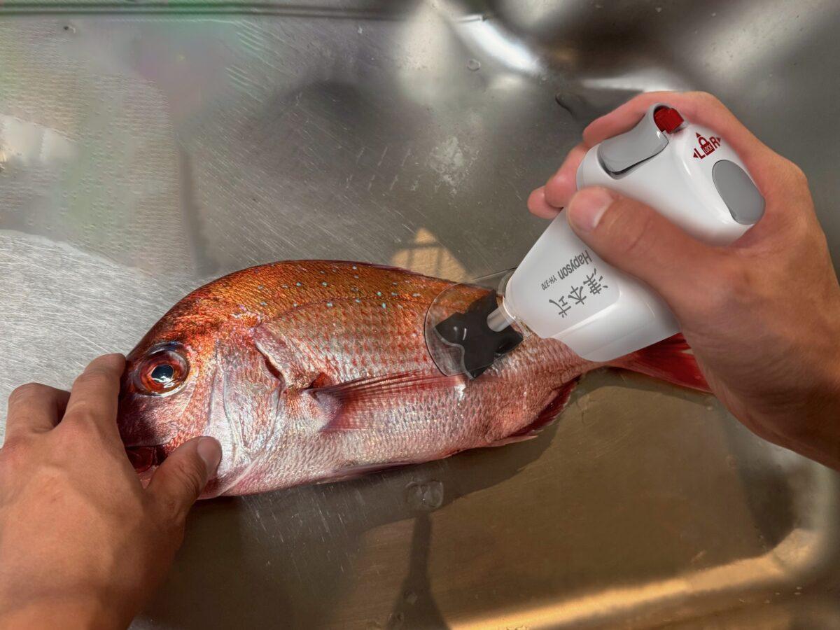 Hapyson 津本式　充電式ウロコ取り器 YH-370 ハピソン(Hapyson) (Hapyson×津本式)充電式ウロコ取り器 YH-370